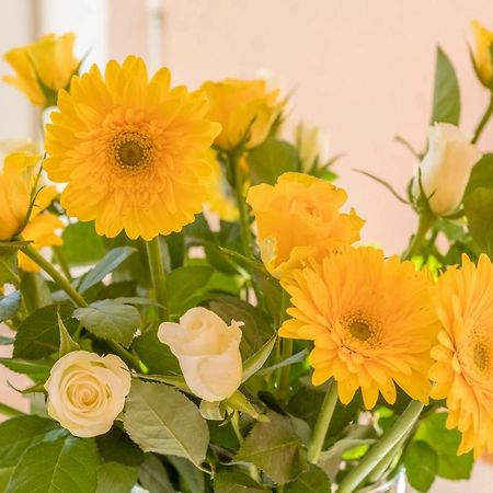Ferienhof Sauter Lindau Neukirch  Екстер'єр фото